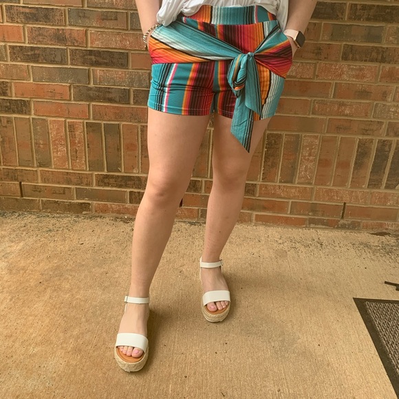 Crazy Train Pants - Crazy Train Serape Shorts